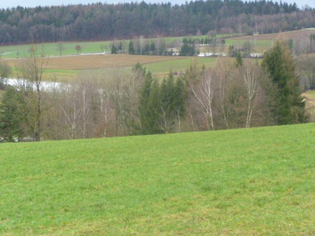 Blockhaus Mit Wlan Bayern Villa Stamsried Ngoại thất bức ảnh
